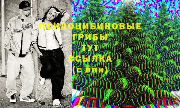 гашик Богданович